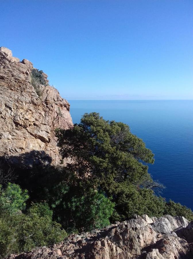 Le Roverelle Ilbono Bagian luar foto