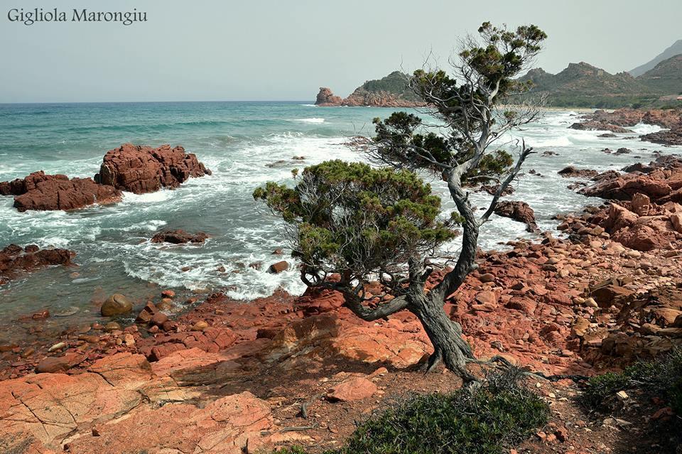 Le Roverelle Ilbono Bagian luar foto