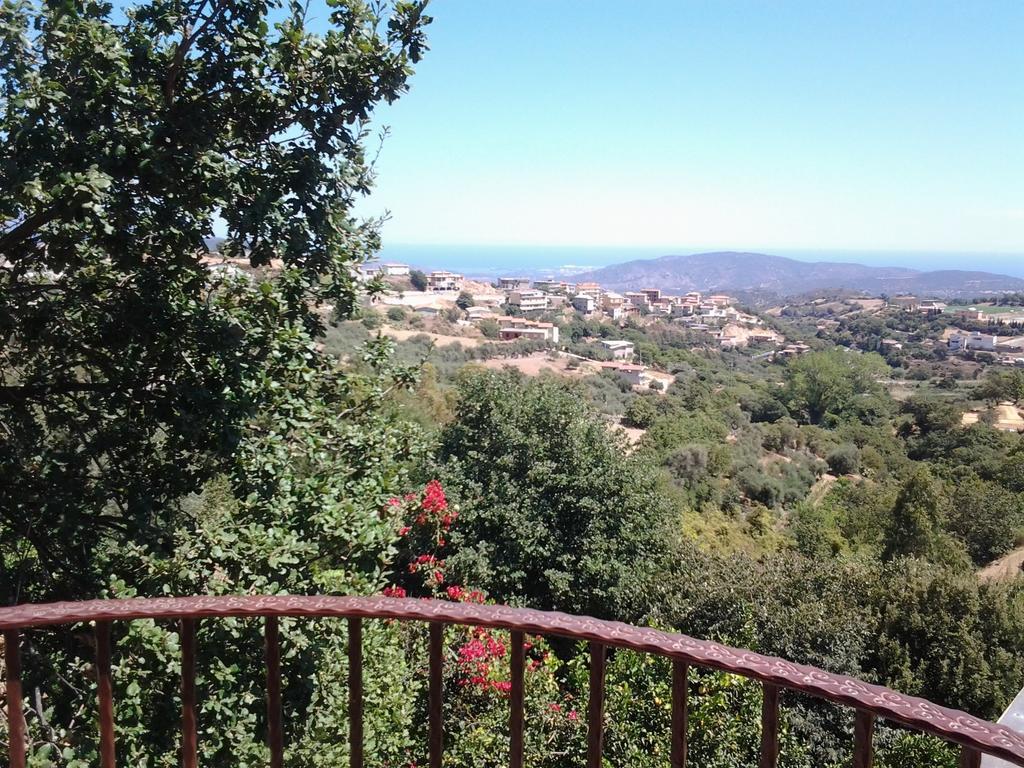 Le Roverelle Ilbono Ruang foto