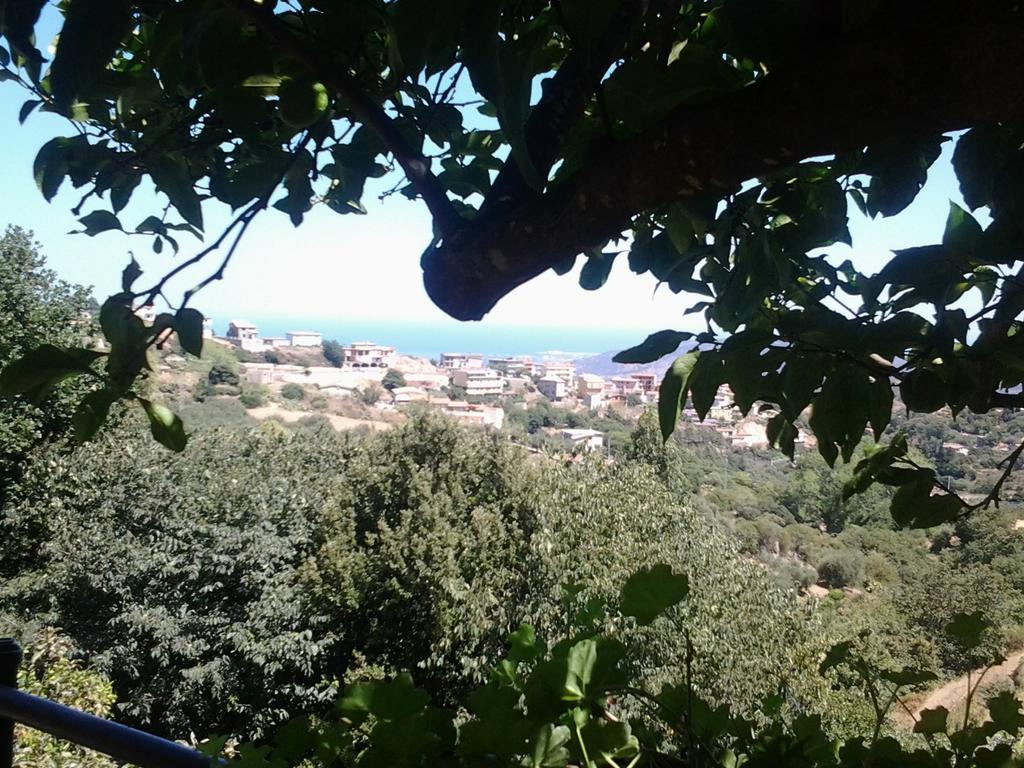 Le Roverelle Ilbono Bagian luar foto