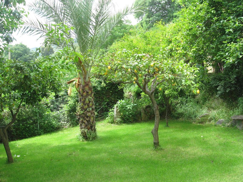 Le Roverelle Ilbono Bagian luar foto